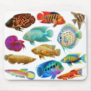 淡水のアクアリウムの魚のマウスパッド マウスパッド