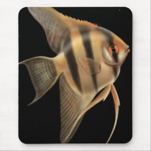 淡水のAngelfishのマウスパッド マウスパッド
