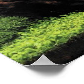 淡水アンジェフィッシュ水族館 ポスター (角)