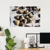 淡水カタツムリ（テクスチャ） ポスター (ホームオフィス)