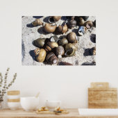 淡水カタツムリ（テクスチャ） ポスター (キッチン)