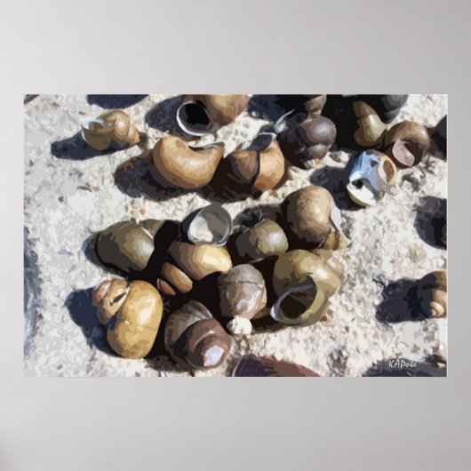 淡水カタツムリ（テクスチャ） ポスター (正面)