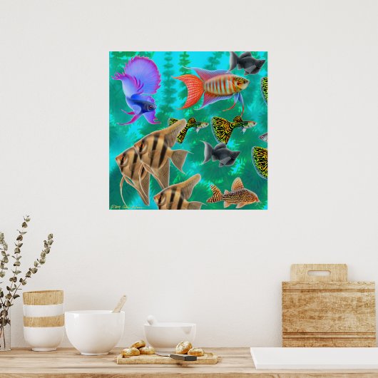 淡水水族館フィッシュポスター ポスター (キッチン)