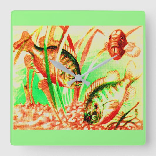 淡水海魚 スクエア壁時計 (正面)