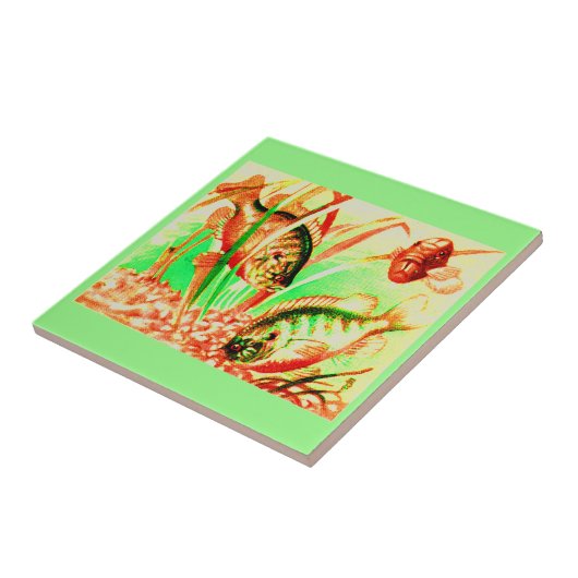 淡水海魚 タイル (側面)