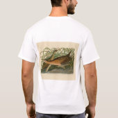 淡水湿原篇 – オードボンズバーズオブアメリカ Tシャツ (裏面)
