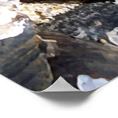 淡水貝 ポスター (角)