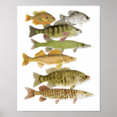 淡水賞品 ポスター (正面)