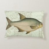 淡水魚の地図 アクセントクッション (裏面)