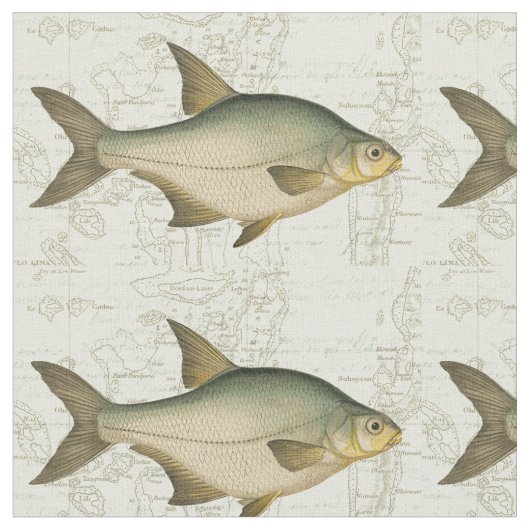 淡水魚の地図 ファブリック (クローズアップ)