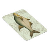 淡水魚の地図 マグネット (右側)