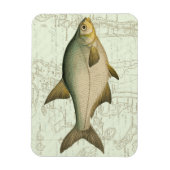 淡水魚の地図 マグネット (縦)