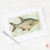 淡水魚の地図 長方形シール (封筒)