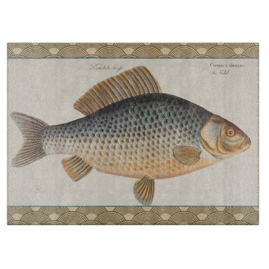淡水魚の鯉の絵 カッティングボード (正面)