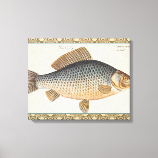 淡水魚の鯉の絵 キャンバスプリント (正面)
