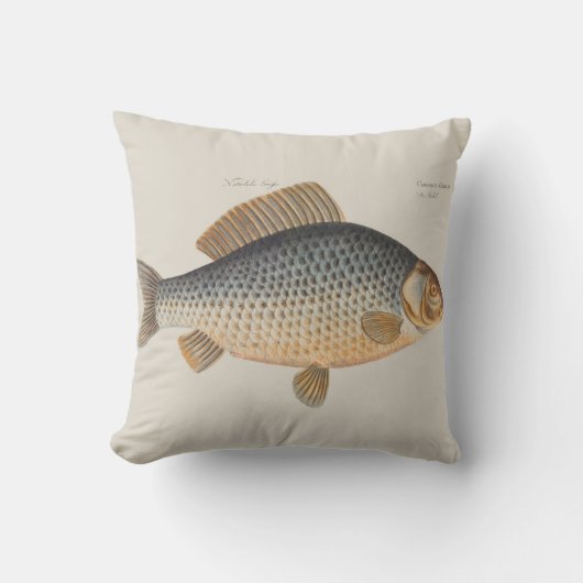 淡水魚の鯉の絵 クッション (正面)