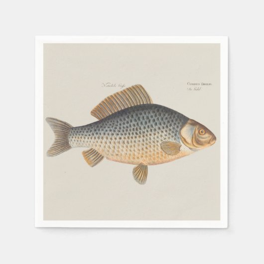 淡水魚の鯉の絵 スタンダードカクテルナプキン (正面)