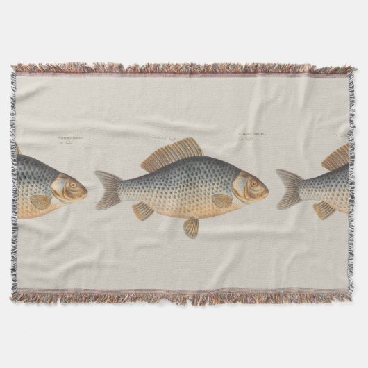 淡水魚の鯉の絵 スローブランケット (正面)