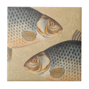 淡水魚の鯉の絵 タイル