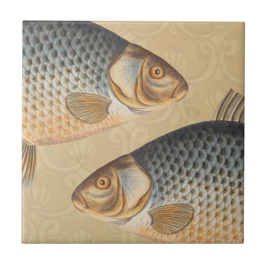 淡水魚の鯉の絵 タイル (正面)