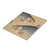 淡水魚の鯉の絵 タイル (側面)