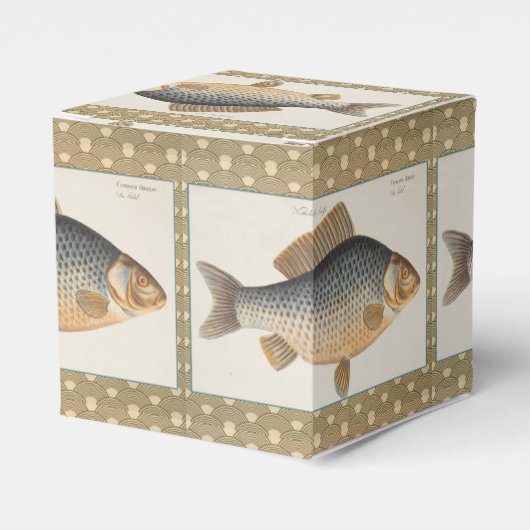 淡水魚の鯉の絵 フェイバーボックス (正面サイド)