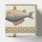 淡水魚の鯉の絵 フェイバーボックス (上部)