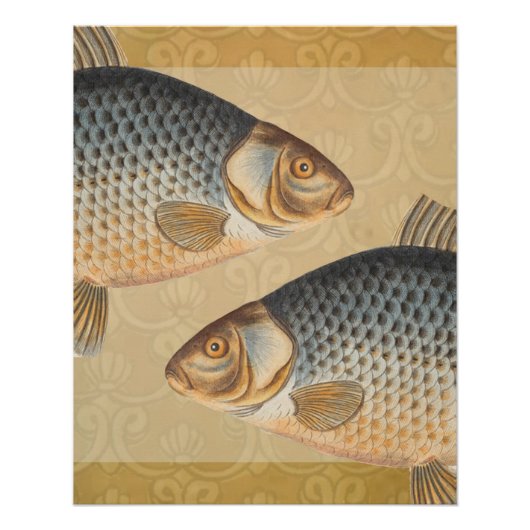 淡水魚の鯉の絵 ポスター (正面)