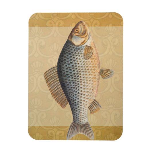 淡水魚の鯉の絵 マグネット (縦)