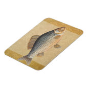 淡水魚の鯉の絵 マグネット (左側)