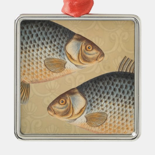 淡水魚の鯉の絵 メタルオーナメント (正面)