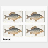淡水魚の鯉の絵 長方形シール (シート)