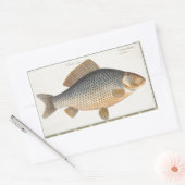 淡水魚の鯉の絵 長方形シール (封筒)