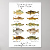 淡水魚ポスター ポスター (正面)