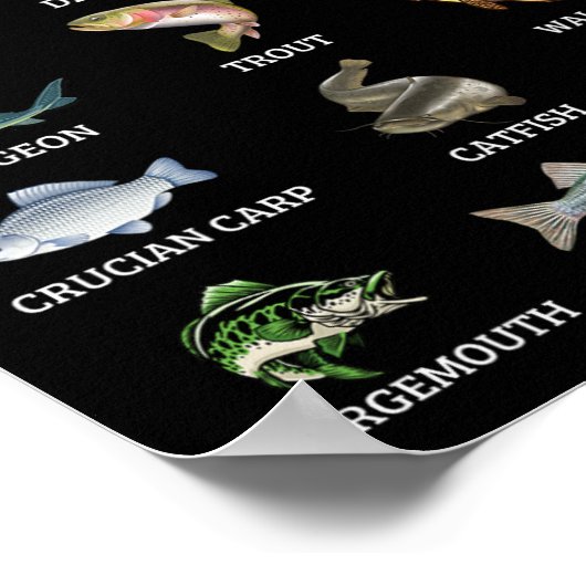 淡水魚種魚釣り漁師 ポスター (角)