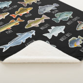 淡水魚種魚釣り シェルパブランケット (3/4)