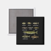 淡水魚種魚釣り マグネット (正面/裏面)