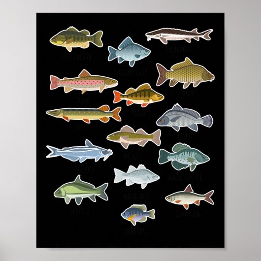 淡水魚魚釣り ポスター (正面)
