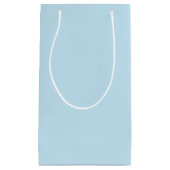 淡無地の色 スモールペーパーバッグ (正面)