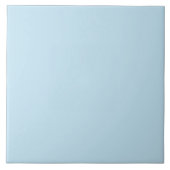 淡無地の色 タイル (正面)