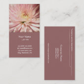 淡紅菊 名刺 (正面/裏面)