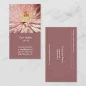 淡紅菊 名刺 (正面/裏面)