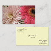 淡紅菊 名刺 (正面/裏面)