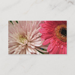 淡紅菊 名刺