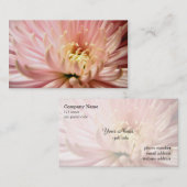 淡紅菊 名刺 (正面/裏面)