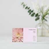 淡紅菊 名刺 (スタンド正面)