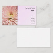 淡紅菊 名刺 (正面/裏面)