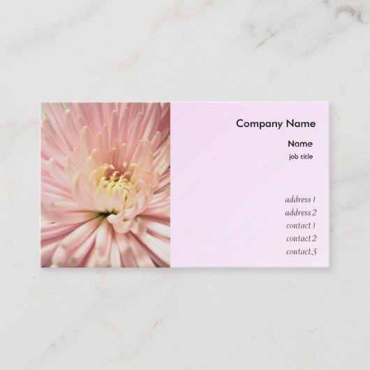 淡紅菊 名刺 (正面)