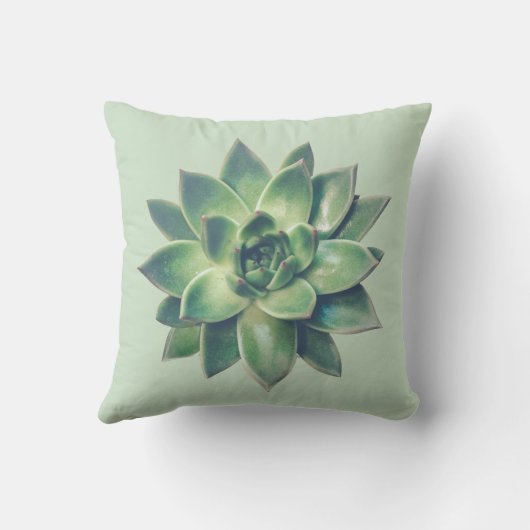 淡緑色モダンの緑色の多肉植物 クッション (裏面)