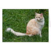 淡赤美しい (正面横)